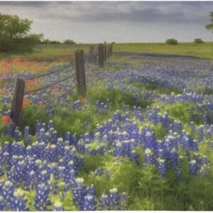 Texas Bluebonnets Scenery Print Placemats Heat-Resistant Non-Slip Placemats Washable Durable PVC Table Mats Woven Placemats for Kitchen